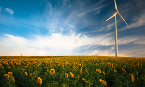 مقالات رشته محیط زیست
